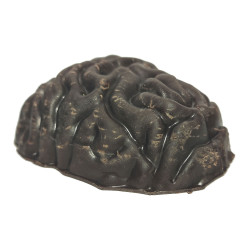 Шоколад Мозг